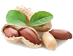Maní